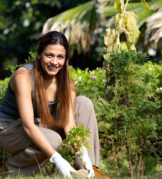 Tree Plantation Initiative